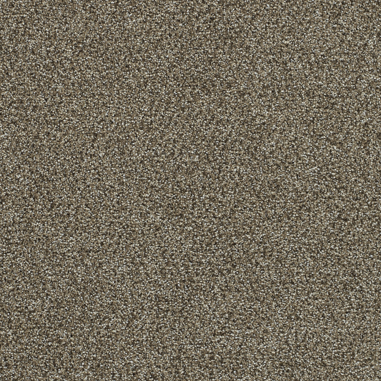 Clearwater 1 — Dark Truffle swatch